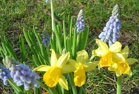 Het is lente tijd voor de wandelcoach!